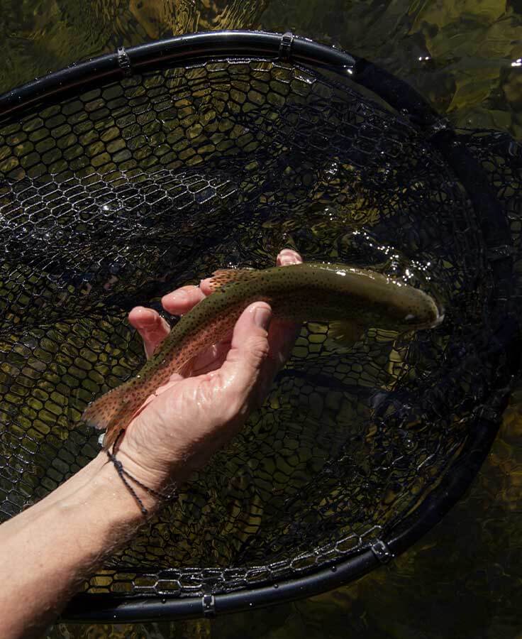 North Fork Nets XL Boat Net