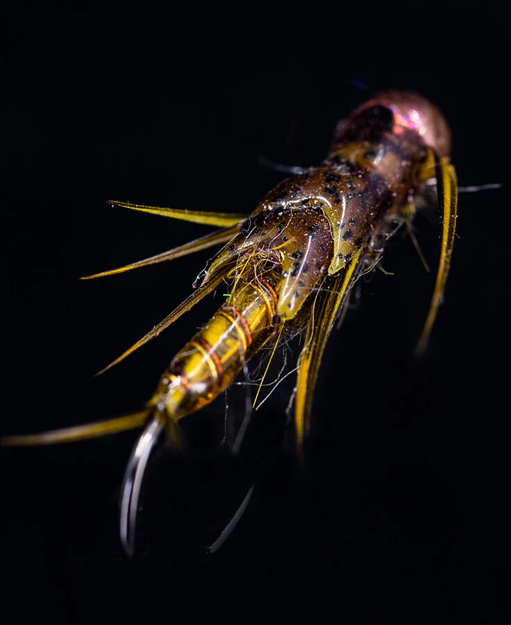 UV Colored Fly Finish