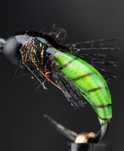 UV Colored Fly Finish