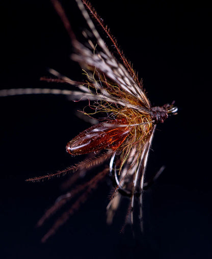 UV Colored Fly Finish