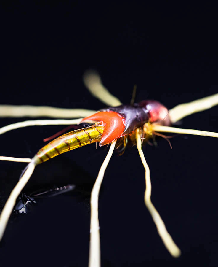 UV Colored Fly Finish