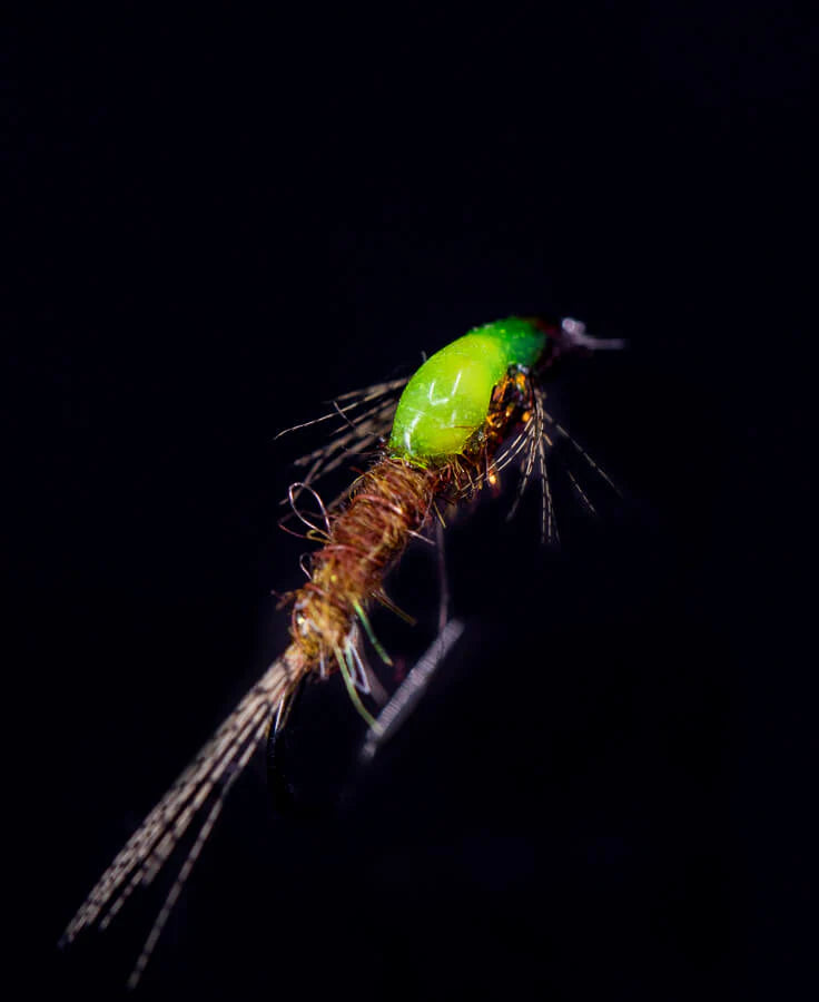 UV Colored Fly Finish