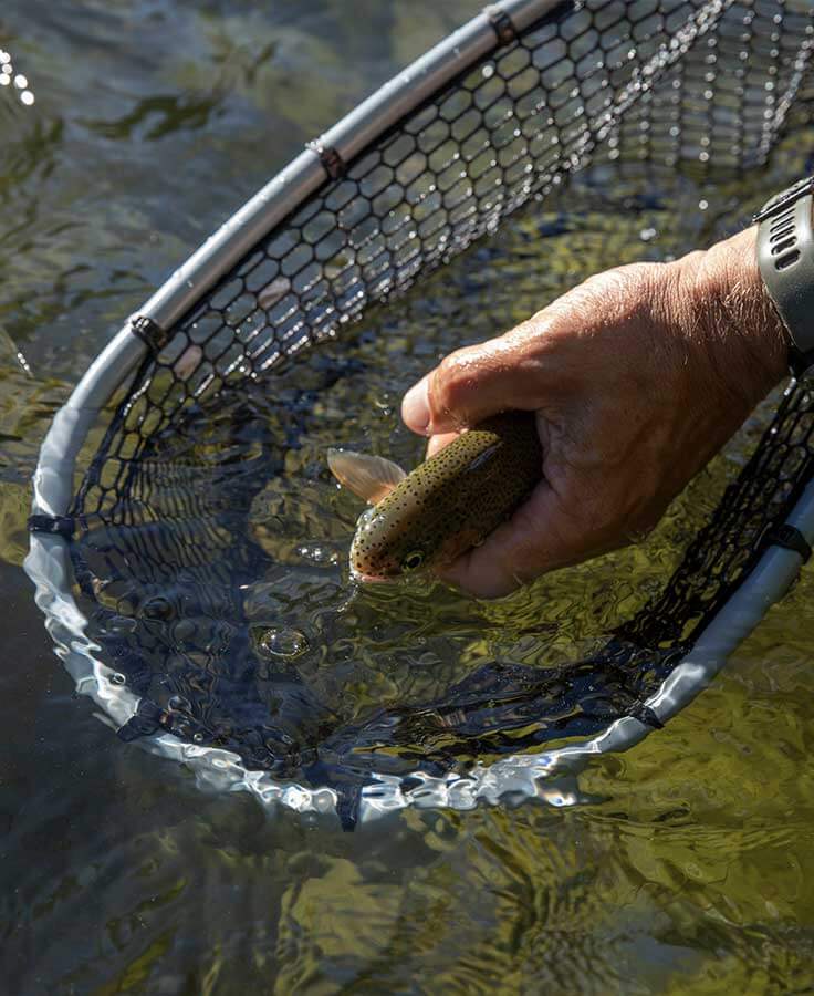 North Fork Nets Wade Net